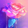 xo_rosita_ox